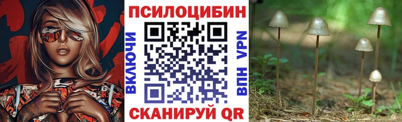 кракен рабочий сайт Новотроицк Галлюциногенные грибы GOLDEN TEACHER